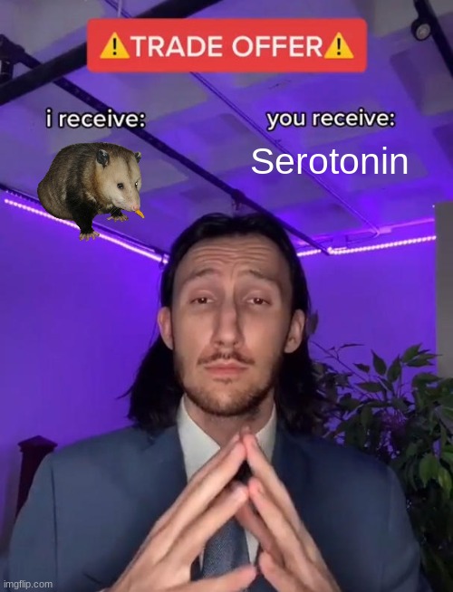 Trade Offer | Serotonin | image tagged in trade offer | made w/ Imgflip meme maker