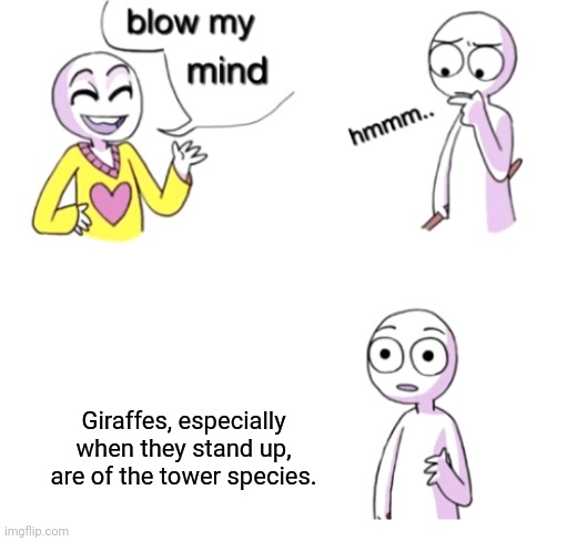Giraffes do be looking like towers, hahahaha. |  Giraffes, especially when they stand up, are of the tower species. | image tagged in blow my mind,shower thoughts,blank white template,funny,memes,giraffe | made w/ Imgflip meme maker