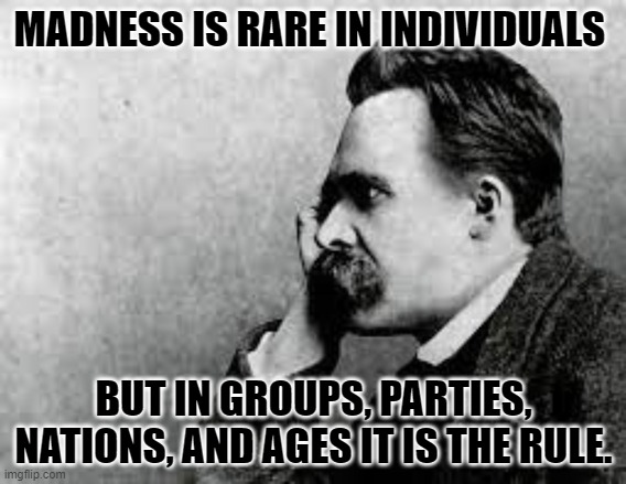 Nietzsche Quotes | MADNESS IS RARE IN INDIVIDUALS; BUT IN GROUPS, PARTIES, NATIONS, AND AGES IT IS THE RULE. | image tagged in philosophy | made w/ Imgflip meme maker
