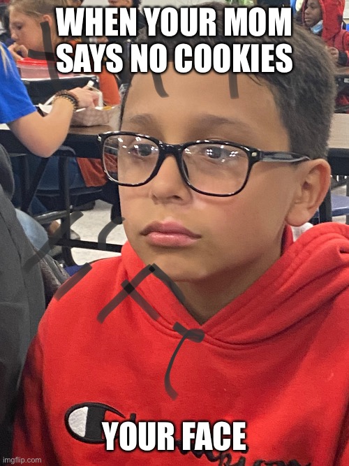 No cookies | WHEN YOUR MOM SAYS NO COOKIES; YOUR FACE | image tagged in funny | made w/ Imgflip meme maker