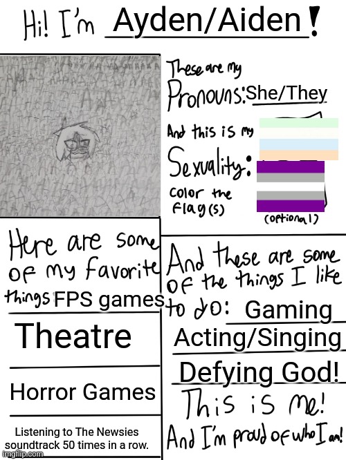 This is me | Ayden/Aiden; She/They; FPS games; Gaming; Theatre; Acting/Singing; Defying God! Horror Games; Listening to The Newsies soundtrack 50 times in a row. | image tagged in lgbtq stream account profile,lgbtq,gay | made w/ Imgflip meme maker