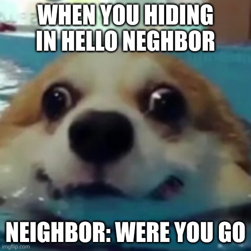 WHEN YOU HIDING IN HELLO NEGHBOR; NEIGHBOR: WERE YOU GO | made w/ Imgflip meme maker