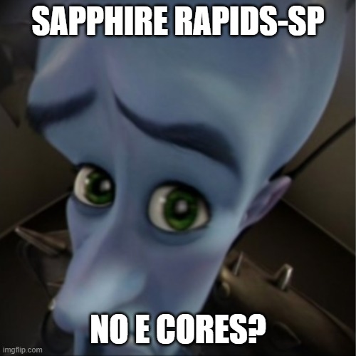 Intel be like? | SAPPHIRE RAPIDS-SP; NO E CORES? | image tagged in megamind peeking | made w/ Imgflip meme maker