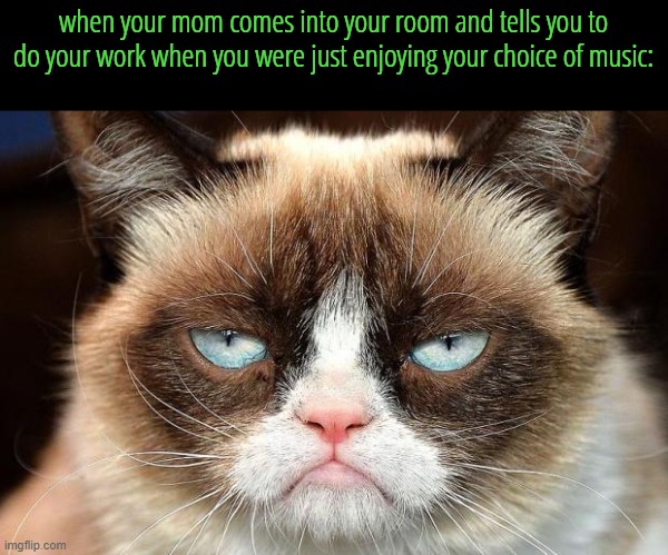Grumpy Cat Not Amused | when your mom comes into your room and tells you to do your work when you were just enjoying your choice of music: | image tagged in memes,grumpy cat not amused,grumpy cat | made w/ Imgflip meme maker