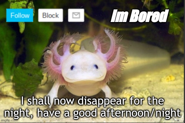 Hello, I shall disappear now for the night | Im Bored; I shall now disappear for the night, have a good afternoon/night | image tagged in axolotldudes announcement template | made w/ Imgflip meme maker