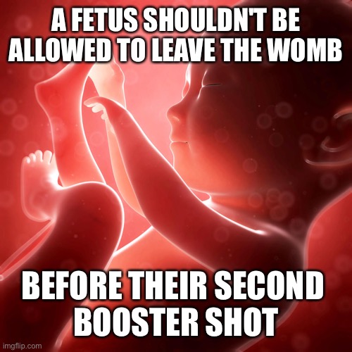 We're in the middle of a pandemic here | A FETUS SHOULDN'T BE ALLOWED TO LEAVE THE WOMB; BEFORE THEIR SECOND 
BOOSTER SHOT | image tagged in baby fetus | made w/ Imgflip meme maker