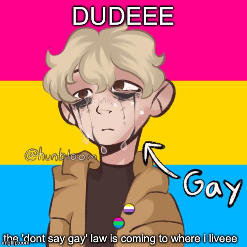 UGHHH | DUDEEE; the 'dont say gay' law is coming to where i liveee | image tagged in gay,depression,lgbtq | made w/ Imgflip meme maker