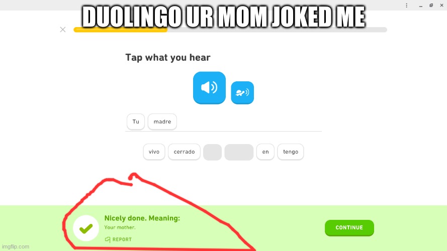 Duolingo Ur Momed me | DUOLINGO UR MOM JOKED ME | image tagged in duolingo | made w/ Imgflip meme maker