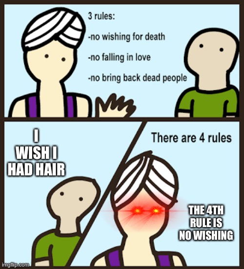 no wishing | I WISH I HAD HAIR; THE 4TH RULE IS NO WISHING | image tagged in there are 3 rules,funny memes | made w/ Imgflip meme maker