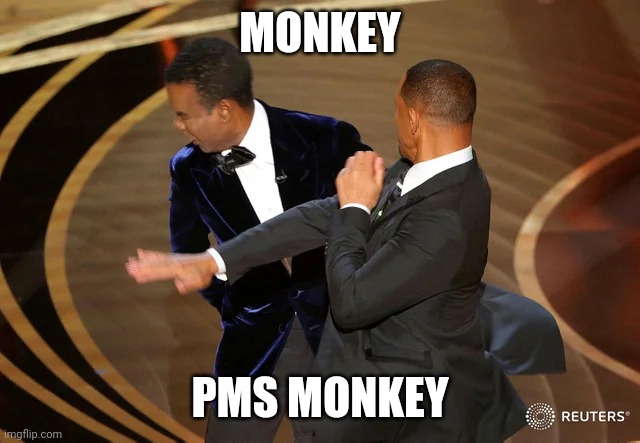 Will Smith punching Chris Rock | MONKEY; PMS MONKEY | image tagged in will smith punching chris rock | made w/ Imgflip meme maker