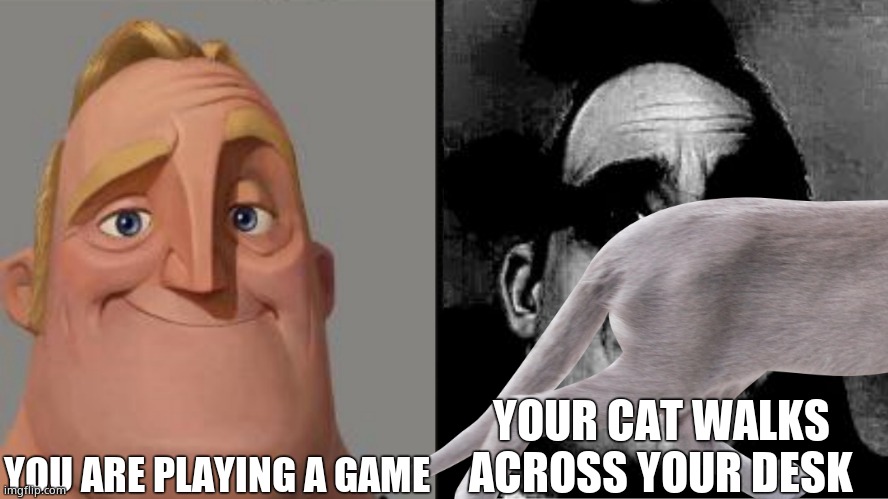 When Your Cat Walks Around | YOU ARE PLAYING A GAME; YOUR CAT WALKS ACROSS YOUR DESK | image tagged in cats,traumatized mr incredible | made w/ Imgflip meme maker