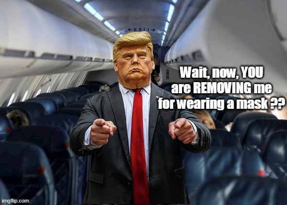 Masks now "optional" Well, some masks (same as some T shirts and hats) | image tagged in memes,mask,airplane,donald trump approves | made w/ Imgflip meme maker