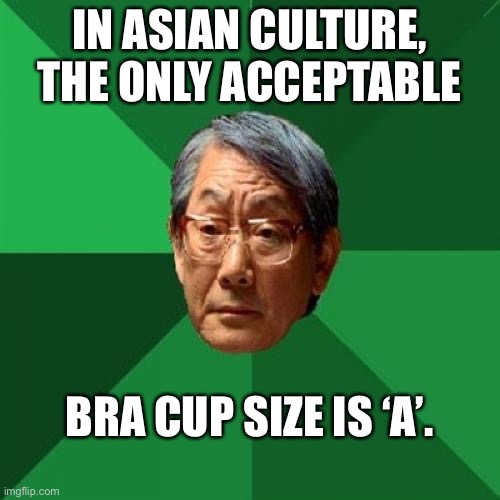 Must always get 'A' |  IN ASIAN CULTURE, THE ONLY ACCEPTABLE; BRA CUP SIZE IS ‘A’. | image tagged in memes,high expectations asian father | made w/ Imgflip meme maker