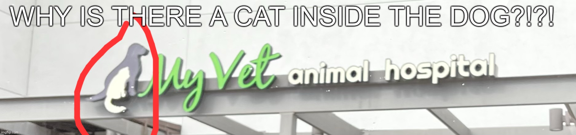 i was just driving past this.. AND SAW IT | WHY IS THERE A CAT INSIDE THE DOG?!?! | image tagged in cat inside dog | made w/ Imgflip meme maker