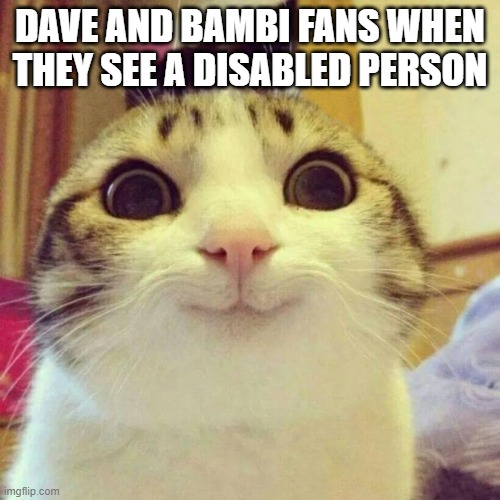 dave and bambi fans be like | DAVE AND BAMBI FANS WHEN THEY SEE A DISABLED PERSON | image tagged in memes,smiling cat | made w/ Imgflip meme maker