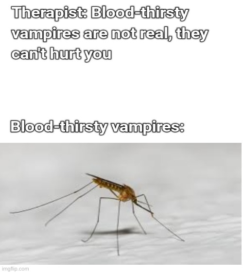 so they aren't real, huh? | image tagged in blank white template | made w/ Imgflip meme maker