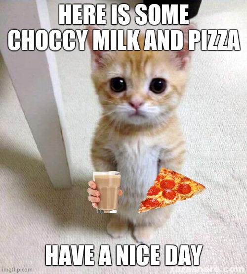 Cute Cat Gives You Choccy Milk And Pizza | HERE IS SOME CHOCCY MILK AND PIZZA; HAVE A NICE DAY | image tagged in memes,cute cat,wholesome,pizza,have some choccy milk | made w/ Imgflip meme maker