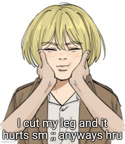 squishy Armin | I cut my leg and it hurts sm ;; anyways hru | image tagged in squishy armin | made w/ Imgflip meme maker