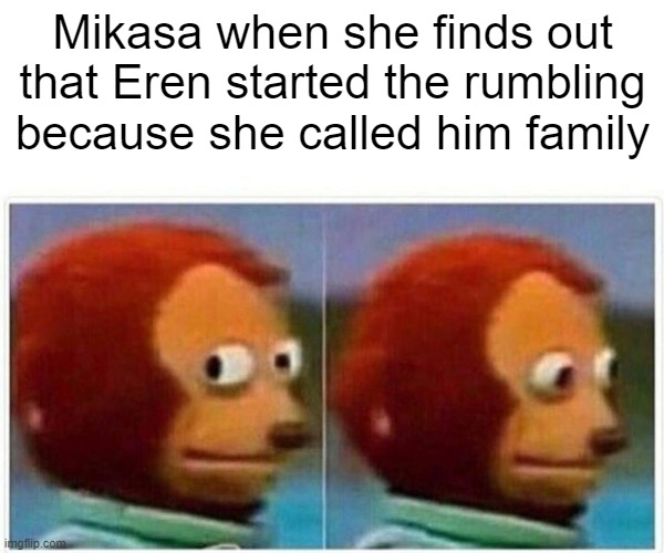 Monkey Puppet Meme | Mikasa when she finds out that Eren started the rumbling because she called him family | image tagged in memes,monkey puppet | made w/ Imgflip meme maker