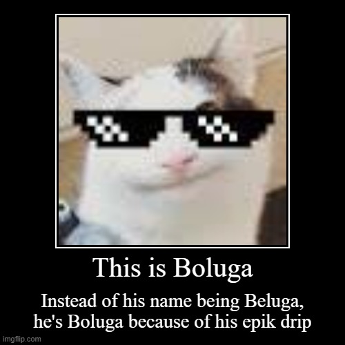 Boluga | image tagged in funny,demotivationals,memes,fun,lol,stop reading the tags | made w/ Imgflip demotivational maker