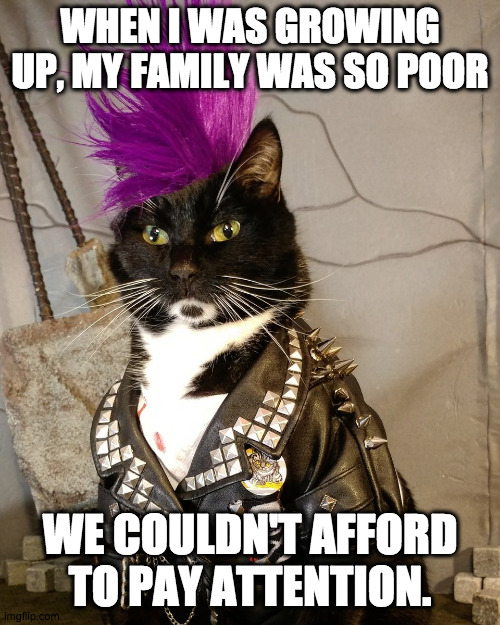 Meow! |  WHEN I WAS GROWING UP, MY FAMILY WAS SO POOR; WE COULDN'T AFFORD TO PAY ATTENTION. | image tagged in punk rock,pay attention,poor,poverty,nihilism | made w/ Imgflip meme maker