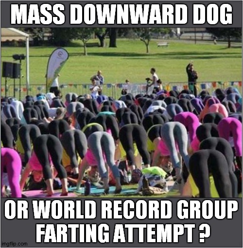 You Decide ! | MASS DOWNWARD DOG; OR WORLD RECORD GROUP
 FARTING ATTEMPT ? | image tagged in yoga,downward dog,farting | made w/ Imgflip meme maker