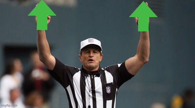 Touchdown Ref | image tagged in touchdown ref | made w/ Imgflip meme maker