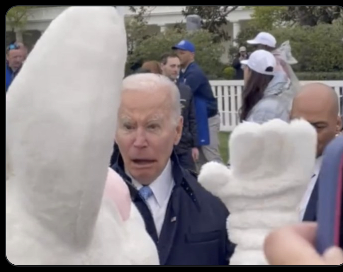 Biden’s Bunny Slap Blank Meme Template