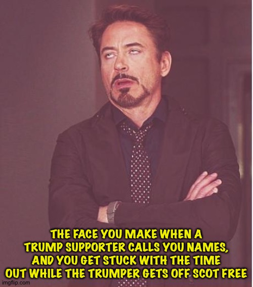 Politics is rotten | THE FACE YOU MAKE WHEN A TRUMP SUPPORTER CALLS YOU NAMES, AND YOU GET STUCK WITH THE TIME OUT WHILE THE TRUMPER GETS OFF SCOT FREE | image tagged in memes,face you make robert downey jr | made w/ Imgflip meme maker