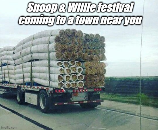 Funnies | Snoop & Willie festival coming to a town near you | image tagged in willie nelson | made w/ Imgflip meme maker