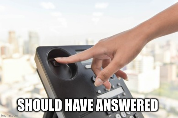 Hanging up Phone | SHOULD HAVE ANSWERED | image tagged in hanging up phone | made w/ Imgflip meme maker