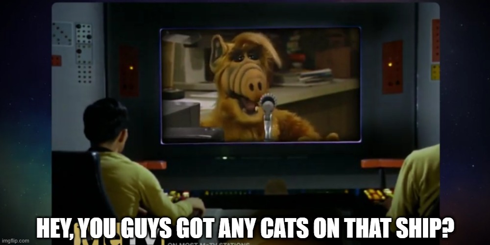 Looking for Lunch |  HEY, YOU GUYS GOT ANY CATS ON THAT SHIP? | image tagged in alf star trek | made w/ Imgflip meme maker
