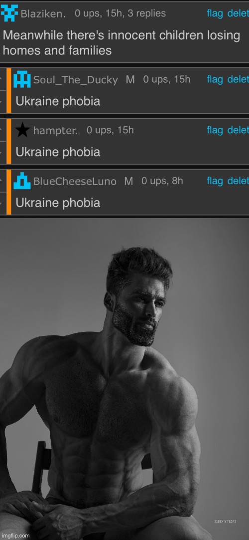 image tagged in giga chad | made w/ Imgflip meme maker