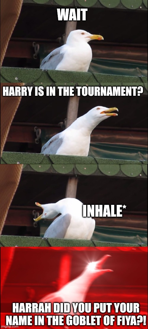 Harry is in the torniment? | WAIT; HARRY IS IN THE TOURNAMENT? INHALE*; HARRAH DID YOU PUT YOUR NAME IN THE GOBLET OF FIYA?! | image tagged in memes,inhaling seagull,harry potter | made w/ Imgflip meme maker