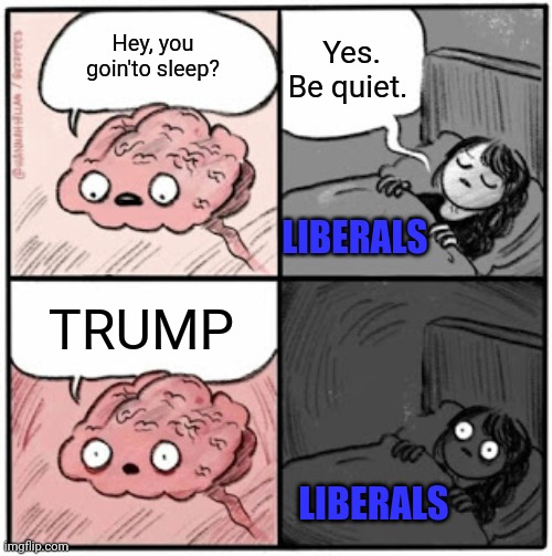 Brain Before Sleep | Hey, you goin'to sleep? TRUMP Yes. Be quiet. LIBERALS LIBERALS | image tagged in brain before sleep | made w/ Imgflip meme maker