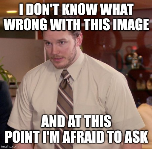 Afraid To Ask Andy Meme | I DON'T KNOW WHAT WRONG WITH THIS IMAGE AND AT THIS POINT I'M AFRAID TO ASK | image tagged in memes,afraid to ask andy | made w/ Imgflip meme maker