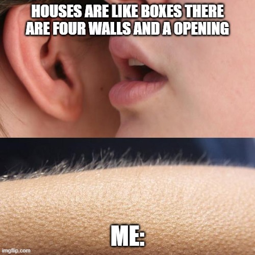 Whisper and Goosebumps | HOUSES ARE LIKE BOXES THERE ARE FOUR WALLS AND A OPENING; ME: | image tagged in whisper and goosebumps | made w/ Imgflip meme maker