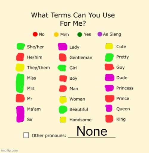 The Terms You Can Use For Me | None | image tagged in pronouns sheet,terms,my pronouns are she/her | made w/ Imgflip meme maker