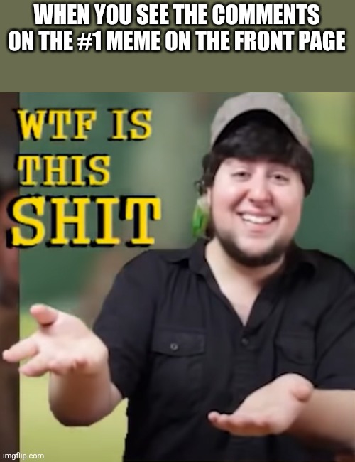 Wtf | WHEN YOU SEE THE COMMENTS ON THE #1 MEME ON THE FRONT PAGE | image tagged in wtf | made w/ Imgflip meme maker
