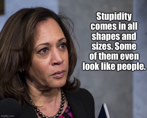 Stupidity | Stupidity comes in all shapes and sizes. Some of them even look like people. | image tagged in politics,stupidity,shapes and sizes,political,people | made w/ Imgflip meme maker