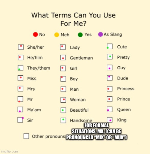 Pronouns Sheet | FOR FORMAL SITUATIONS, MX. (CAN BE PRONOUNCED “MIX” OR “MUX”) | image tagged in pronouns sheet | made w/ Imgflip meme maker