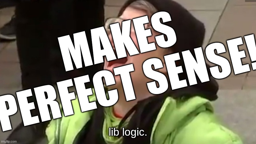 Screaming Liberal  | MAKES PERFECT SENSE! lib logic. | image tagged in screaming liberal | made w/ Imgflip meme maker