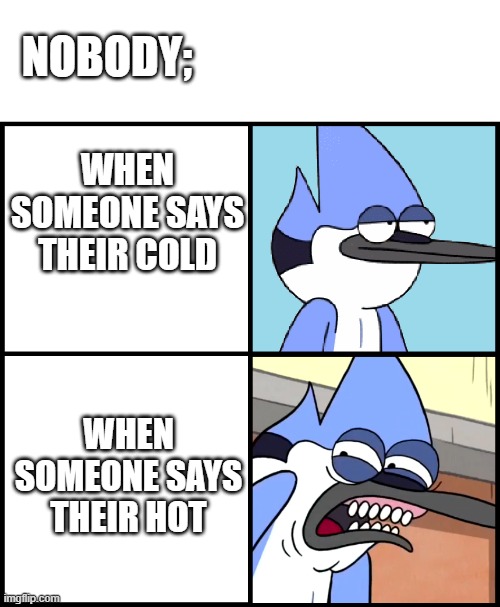 it's true | NOBODY;; WHEN SOMEONE SAYS THEIR COLD; WHEN SOMEONE SAYS THEIR HOT | image tagged in mordecai disgusted,funny memes | made w/ Imgflip meme maker