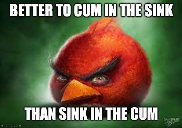 Realistic Red Angry Birds | BETTER TO CUM IN THE SINK; THAN SINK IN THE CUM | image tagged in realistic red angry birds | made w/ Imgflip meme maker
