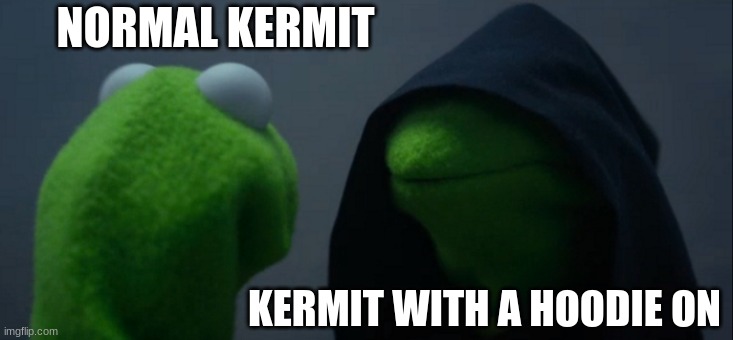 am I wrong | NORMAL KERMIT; KERMIT WITH A HOODIE ON | image tagged in memes,evil kermit | made w/ Imgflip meme maker