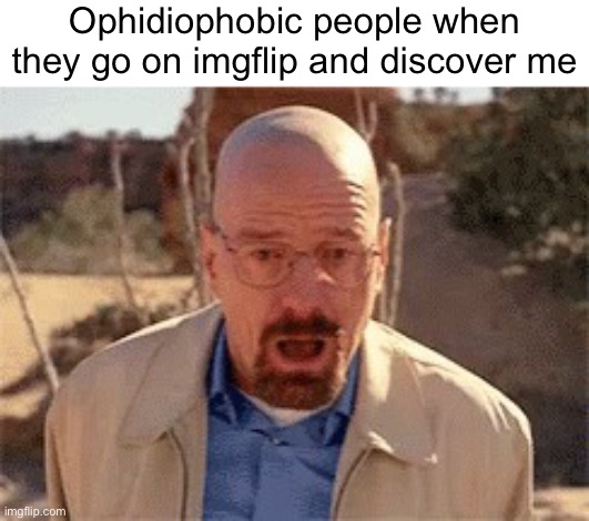 :( | Ophidiophobic people when they go on imgflip and discover me | made w/ Imgflip meme maker