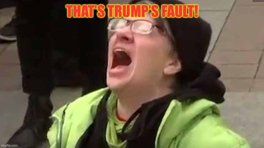 Screaming Liberal  | THAT’S TRUMP’S FAULT! | image tagged in screaming liberal | made w/ Imgflip meme maker