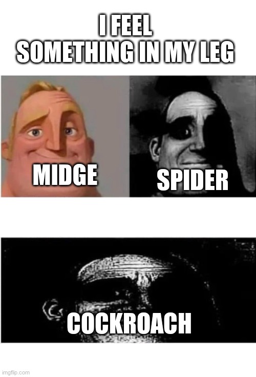 give me some suggestion for memes of mr incredible traumatized | I FEEL SOMETHING IN MY LEG; SPIDER; MIDGE; COCKROACH | image tagged in traumatized mr incredible 3 parts | made w/ Imgflip meme maker