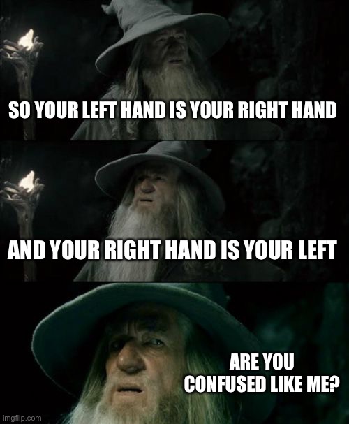 Truth posting again | SO YOUR LEFT HAND IS YOUR RIGHT HAND; AND YOUR RIGHT HAND IS YOUR LEFT; ARE YOU CONFUSED LIKE ME? | image tagged in memes,confused gandalf | made w/ Imgflip meme maker