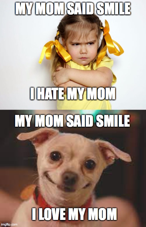 Smile for mom! |  MY MOM SAID SMILE; I HATE MY MOM; MY MOM SAID SMILE; I LOVE MY MOM | image tagged in smile,funny dogs,grumpy kid,smile for the camera | made w/ Imgflip meme maker